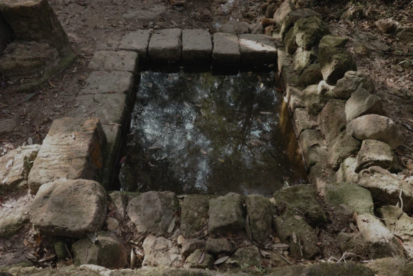 Sustainable Workshops